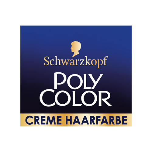 Poly Color Logo