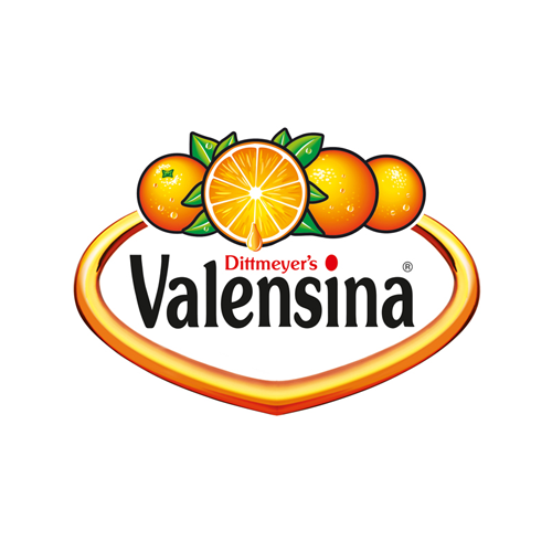 Valensina Logo